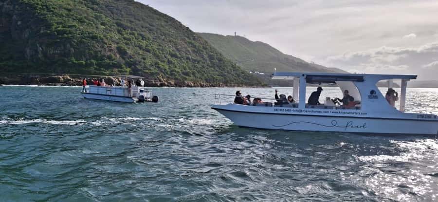 Knysna: 75-Minute Lagoon Boat Cruise - Setting Off From Thesen Island Harbour Town