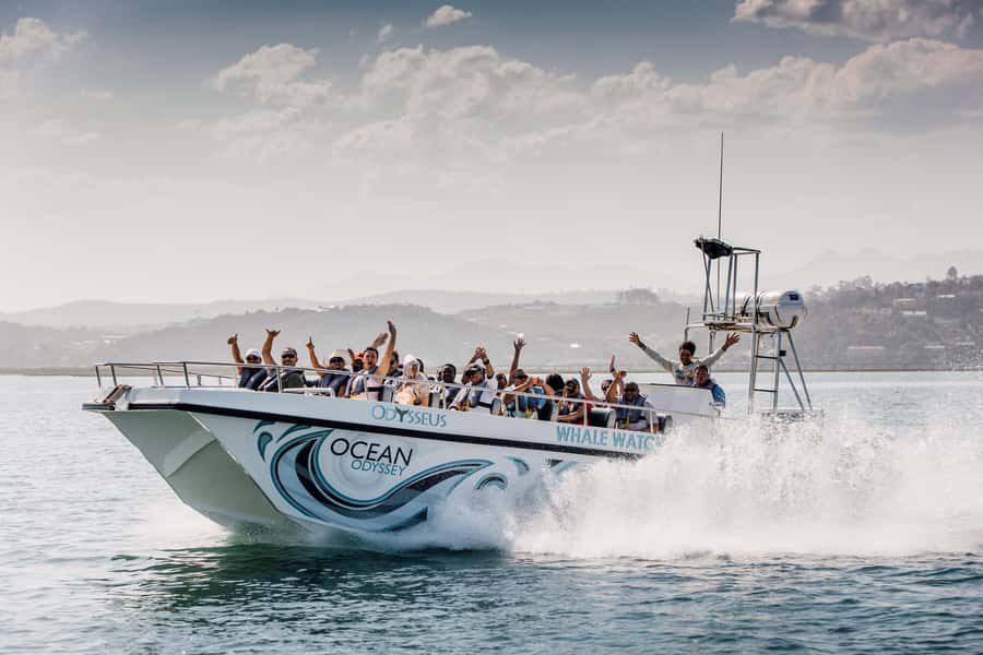 Knysna: Close Encounter Whale Watching Tour by Boat - Humpbacks, southern rights, and the best possible sightings