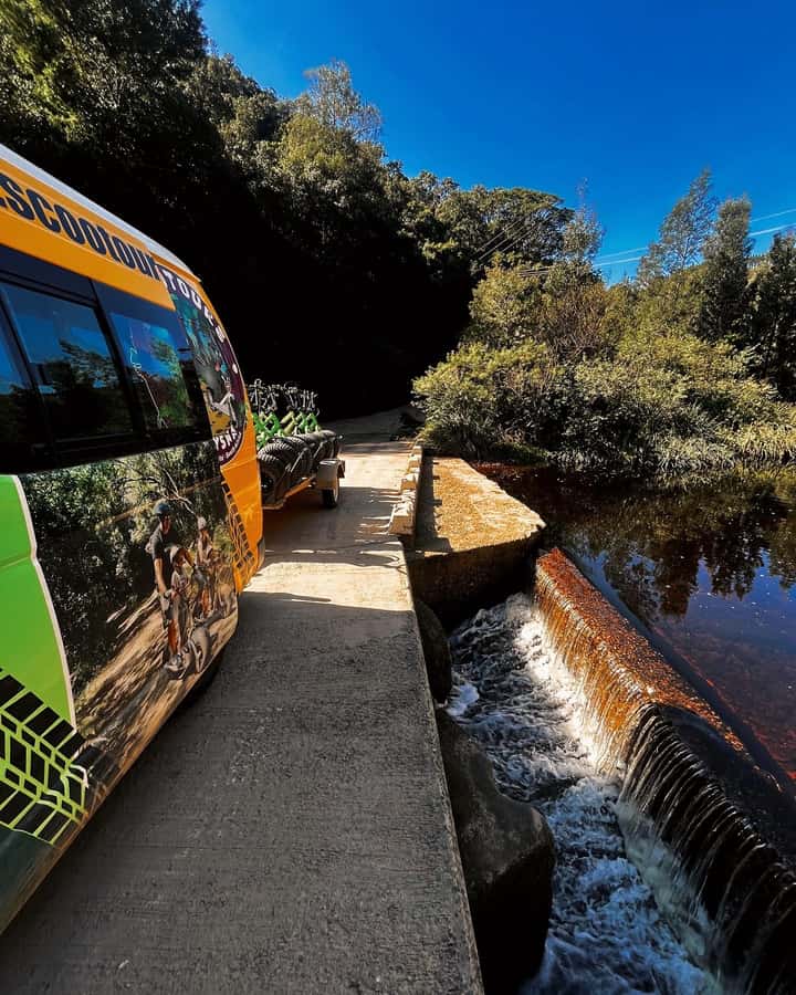 Knysna: Downhill Forest Scootour Adventure - Why this forest ride is different
