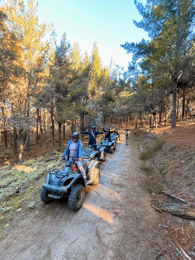 Knysna: Guided Quad Bike Tour in the Forest - Why This Forest Ride Works in Knysna