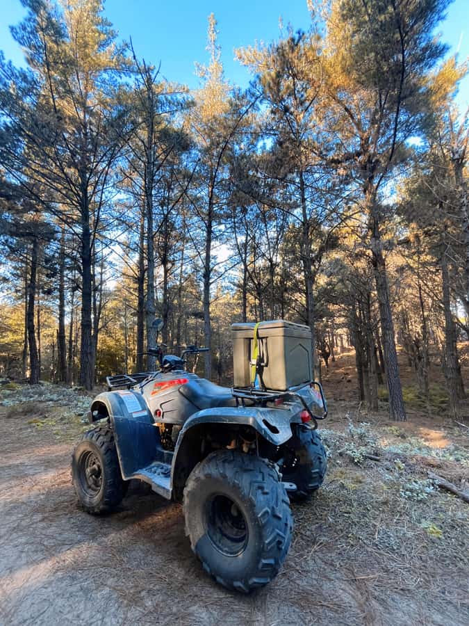 Knysna: Guided Quad Bike Tour in the Forest - Mud, Dust, and Practical Comfort