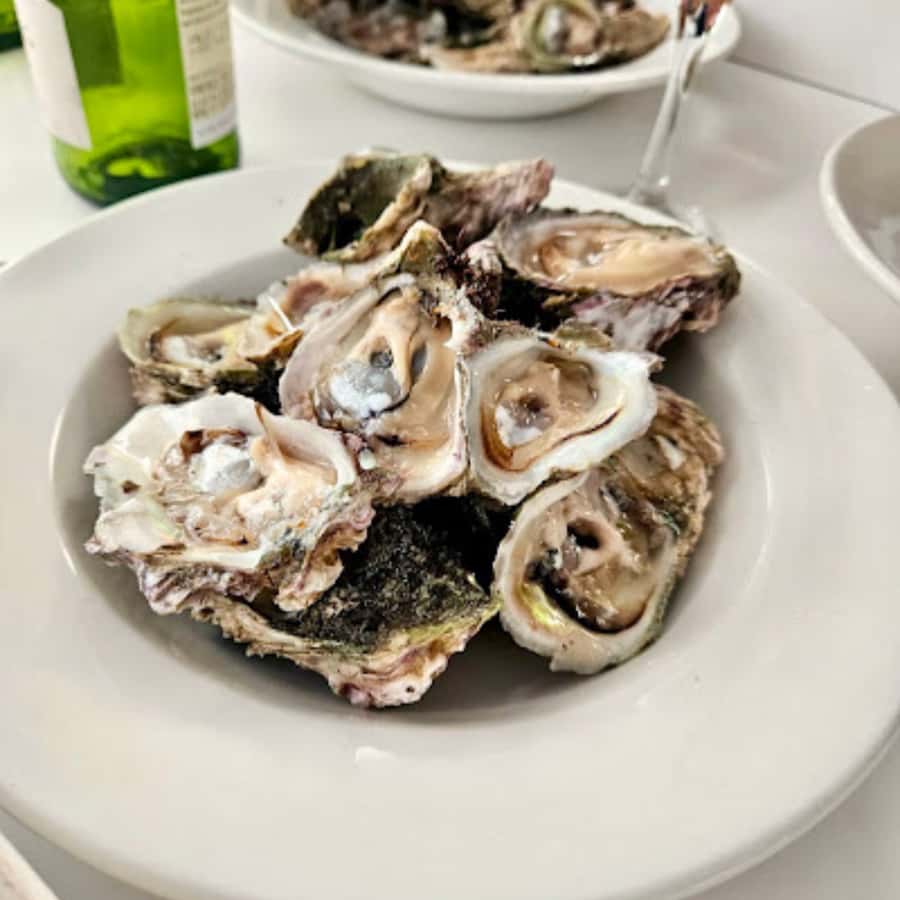 Knysna Lagoon: Boat Cruise with Oyster & White Wine Tasting - What the oyster lesson adds