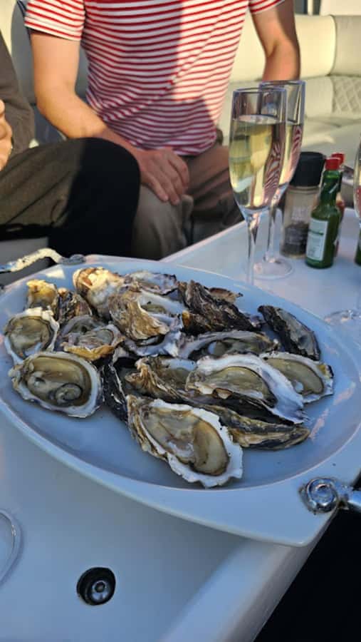 Knysna: Wine & Oyster Luxury Lounger Sunset Cruise - A sunset cruise made for taking it slow