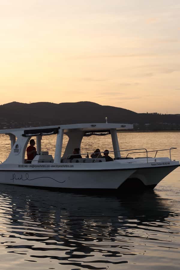 Knysna: Wine & Oyster Luxury Lounger Sunset Cruise - Comfort, weather, and what to pack