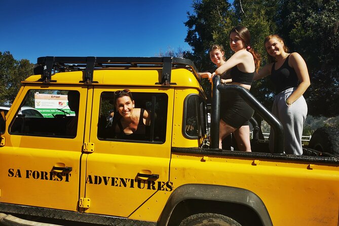 Knysna Ziplines Tour - Price, extra costs, and overall value