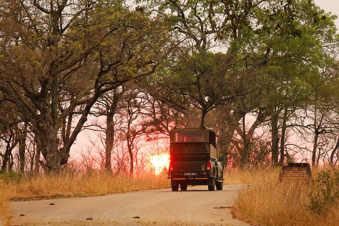 Kruger National Park Full Day Private safari - What you might see beyond the Big Five