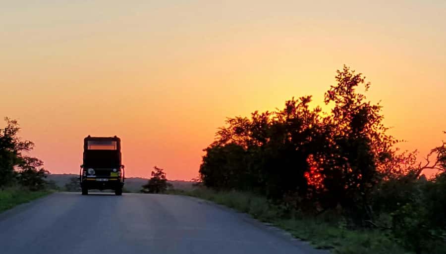 Kruger National Park: Full-Day Private Safari With Pickup - What the private vehicle changes