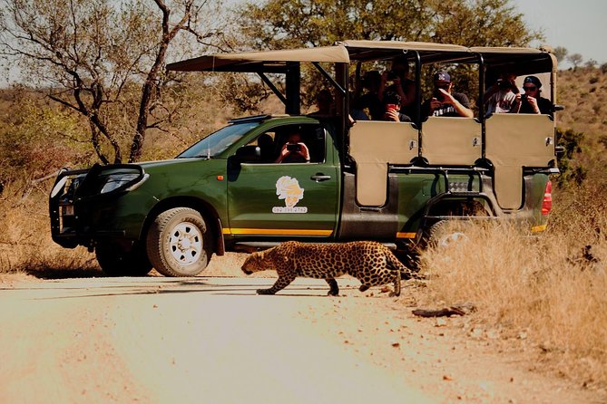Kruger National Park Full Day Private safari - Searching Kruger for the Big Five