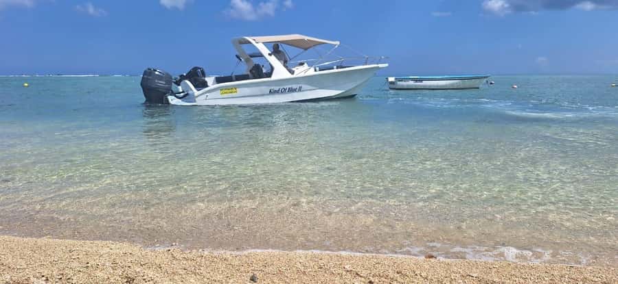 La Preneuse: Dolphin Watching and Snorkeling Speedboat Tour - The reality of many boats on the water