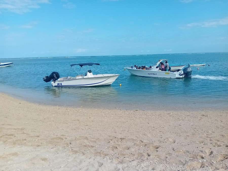 La Preneuse: Dolphin Watching and Snorkeling Speedboat Tour - Fifteen minutes of lagoon snorkeling