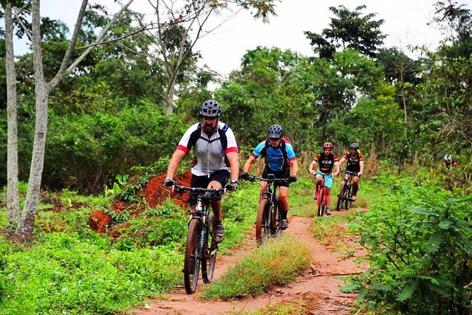 Lake Victoria Island Cycling Tour from Kampala - Leaving Kampala by boat at 8:00 am