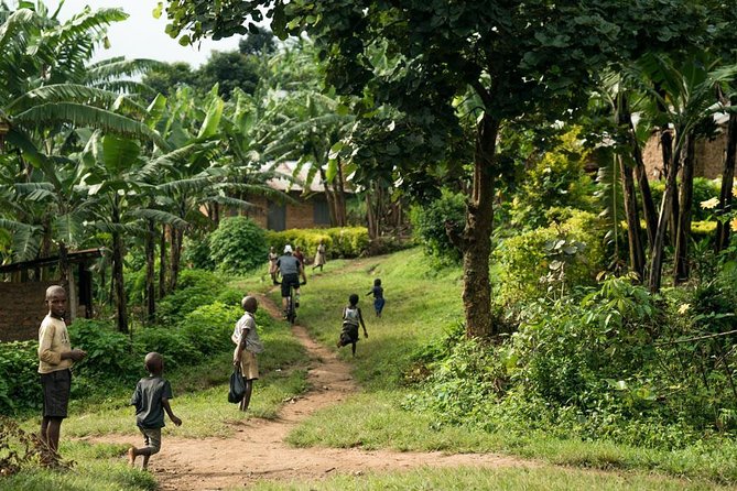Lake Victoria Island Cycling Tour from Kampala - Bikes, helmets, and route difficulty