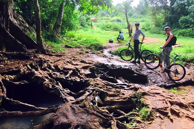 Lake Victoria Island Cycling Tour from Kampala - How the experience compares with other Kampala outings