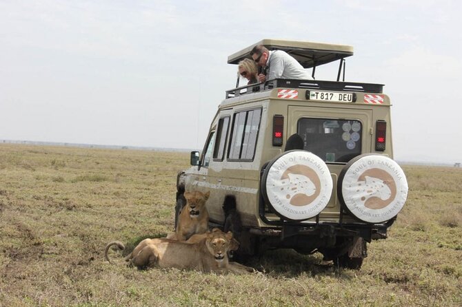 Living Among Lions - Three famous parks in five days
