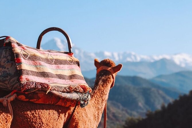 Lunch in the High Atlas: Ourika Valley Waterfalls & 3 Valleys - Guides can make a major difference