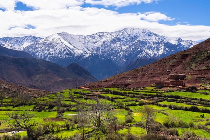 Lunch in the High Atlas: Ourika Valley Waterfalls & 3 Valleys - Transport, pickup, and group size