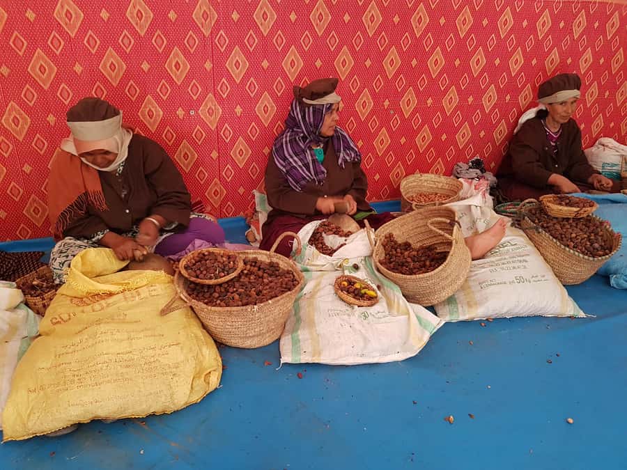 Luxury day trip to Essaouira from Marrakech - The 8:30 am Departure From Marrakech