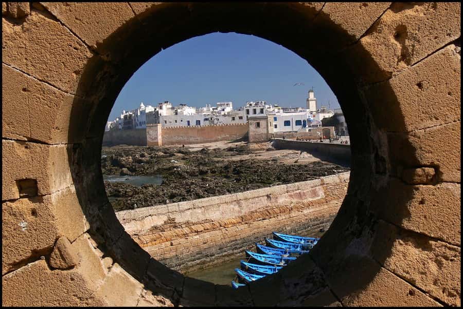 Luxury day trip to Essaouira from Marrakech - The 15-Minute Argan Oil Cooperative