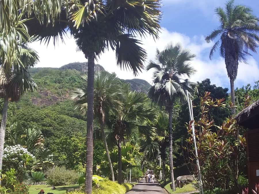 Mahé: Customizable Private Tour of Island with Driver - Value at $199 for up to three people