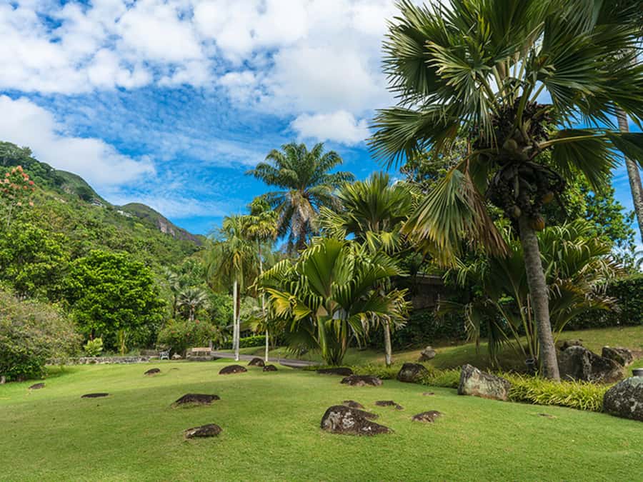 Mahé Island: Island Highlights Guided Day Trip with Lunch - Victoria Market and the colonial center