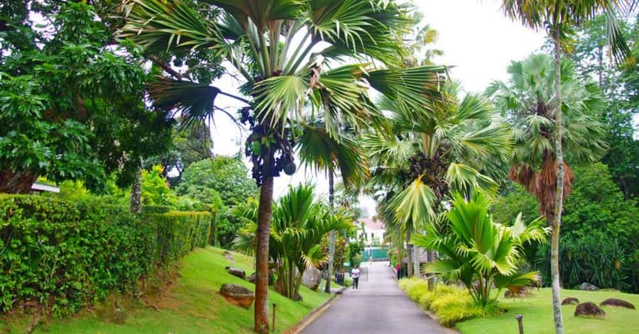 Mahé: Private Customizable Full-Day Tour with Hotel Pickup - Mission Lodge and the Sans Soucis road