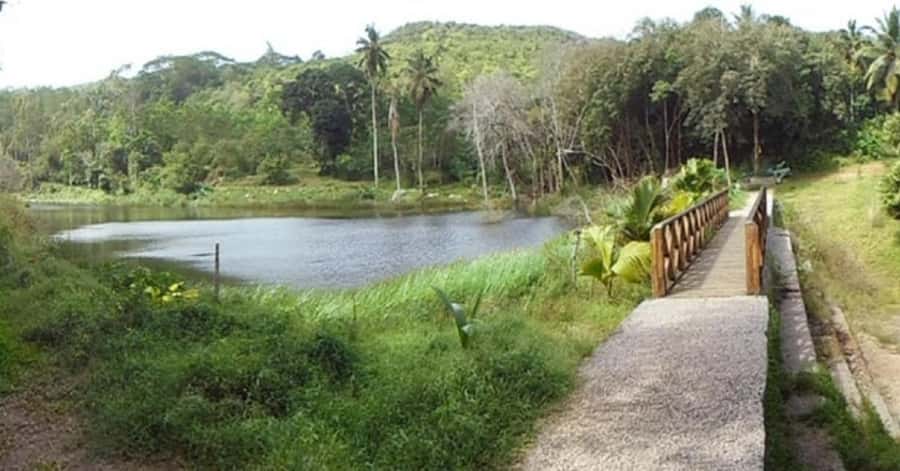 Mahé: Private Customizable Island Tour with Hotel Transfer - Waterfalls, viewpoints, and the island interior