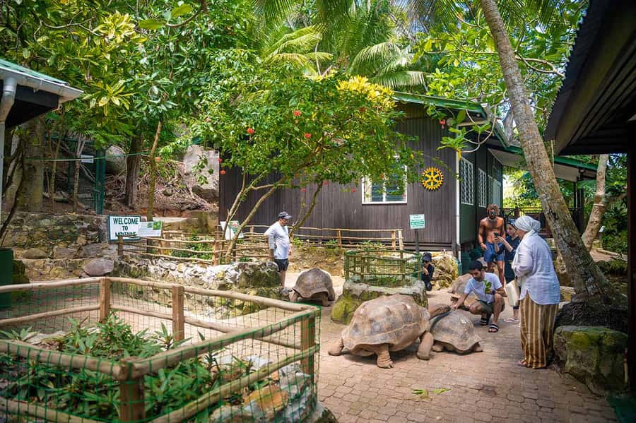 Mahé: Saint-Anne Marine Park and Moyenne Island Cruise - The morning pickup from Mahé