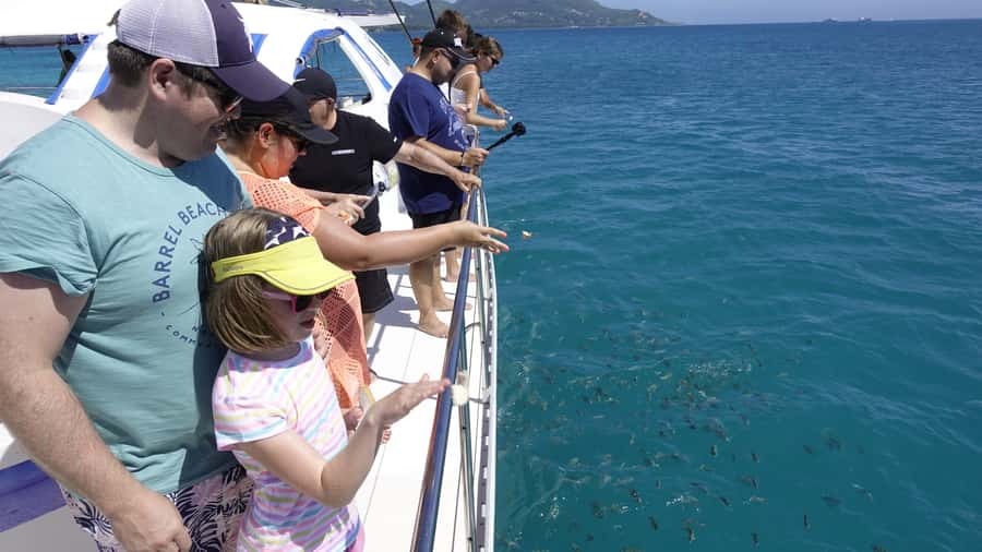 Mahe: St.Anne Marine National Park Reef Safari with Lunch - Key points to know before booking