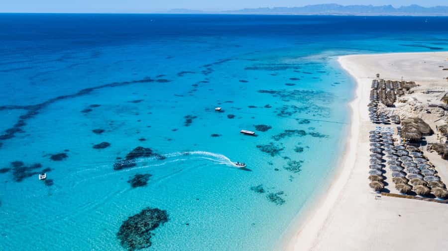 Mahmya Island: Red Sea Sailing Experience - The midday reef trip by boat
