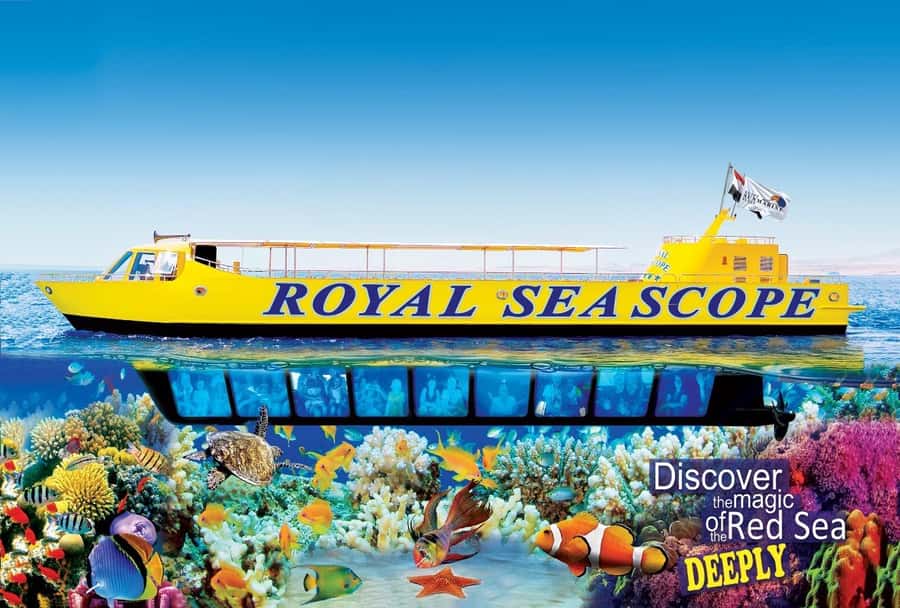 Makadi Bay: Royal Seascope Submarine Cruise & Snorkel stop - A short cruise to the reef near Xanadu