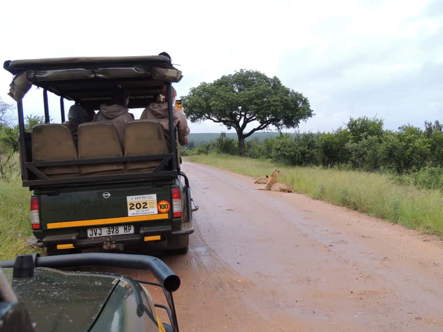 Marloth Park: Kruger National Park Safari Game Drives - A guide makes the difference