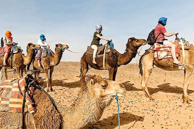 Marrakech: 1 Day Tour-Best of the Atlas Mountains &Three Valleys - Lunch at a family home in Imlil