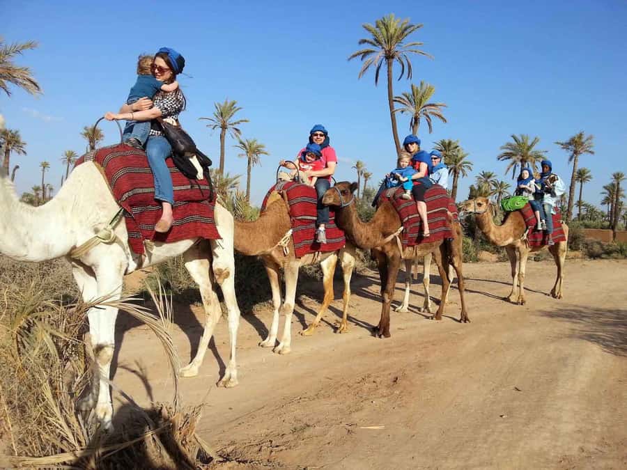 Marrakech : 1-Hour Camel Ride Through the Palm Grove - Leaving Marrakech for the Palmeraie