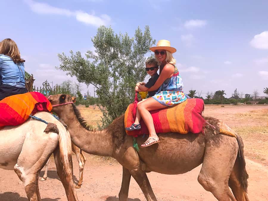 Marrakech : 1-Hour Camel Ride Through the Palm Grove - Climbing onto the camel for one hour