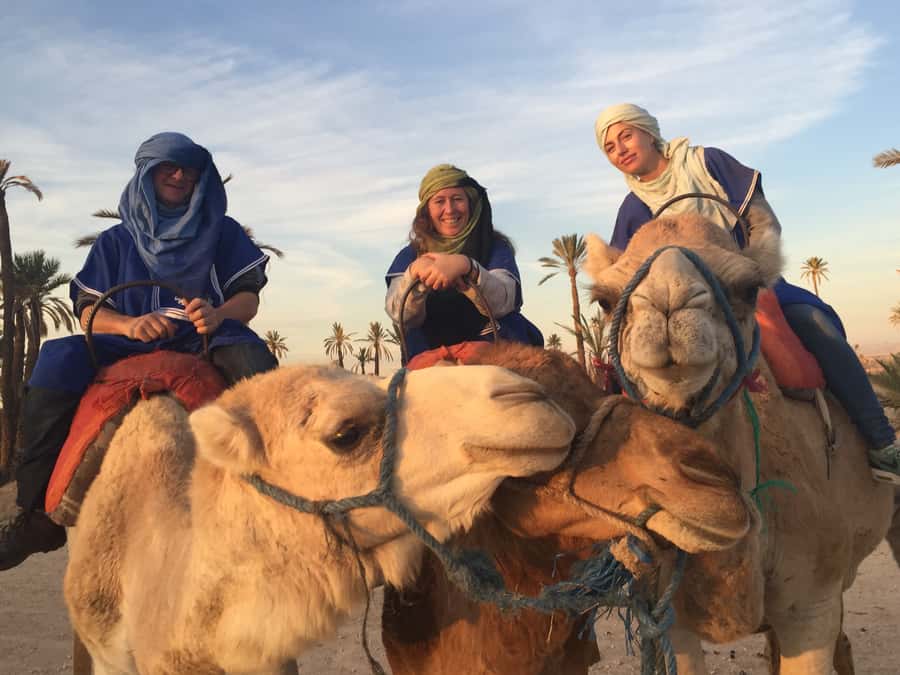 Marrakech : 1-Hour Camel Ride Through the Palm Grove - Mint tea and the 30-minute break