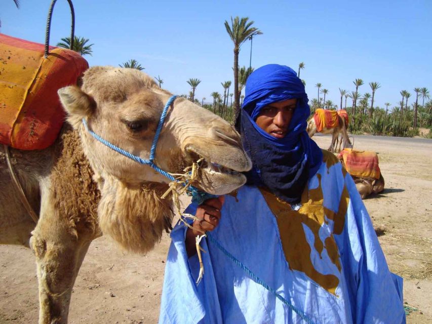 Marrakech : 1-Hour Camel Ride Through the Palm Grove - How the $35 price holds up