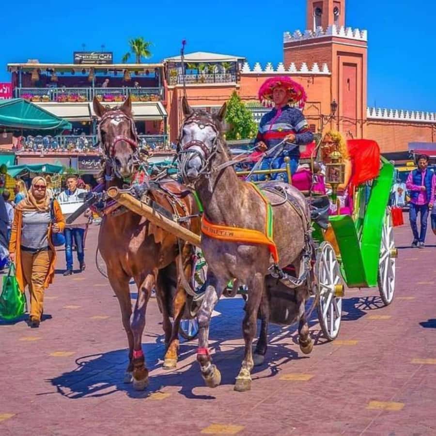 Marrakech: 1-Hour Traditional Horse-Drawn Carriage Tour - A slow first look at Marrakech