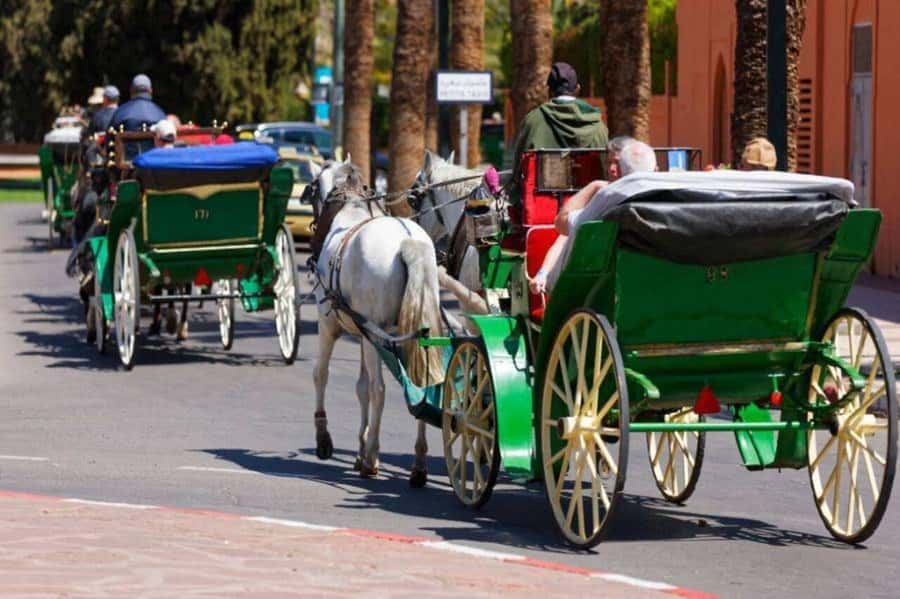 Marrakech: 1-Hour Traditional Horse-Drawn Carriage Tour - Hotel pickup and the first practical details