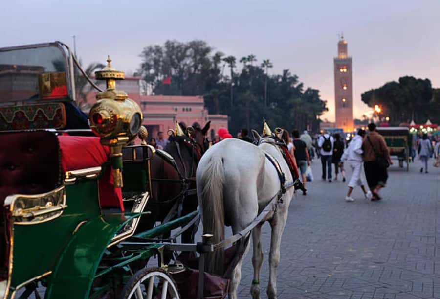 Marrakech: 1-Hour Traditional Horse-Drawn Carriage Tour - The Medina walls and historic gates