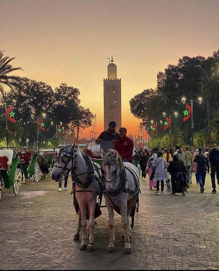 Marrakech: 1-Hour Traditional Horse-Drawn Carriage Tour - Choosing morning, sunset, or evening