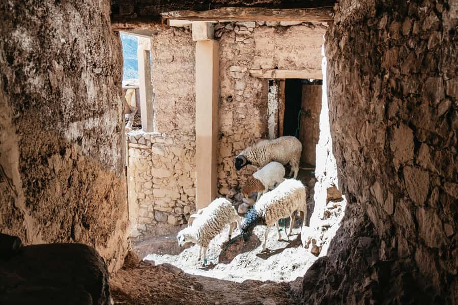 Marrakech: 2-Day Atlas Mountains Trek with Village Stay - Who should book this Atlas Mountains trip?