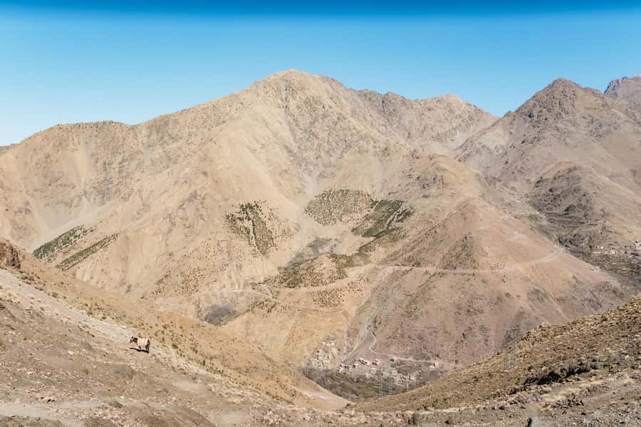 Marrakech: 2-Day Atlas Mountains Trek with Village Stay - What the $96 price really includes