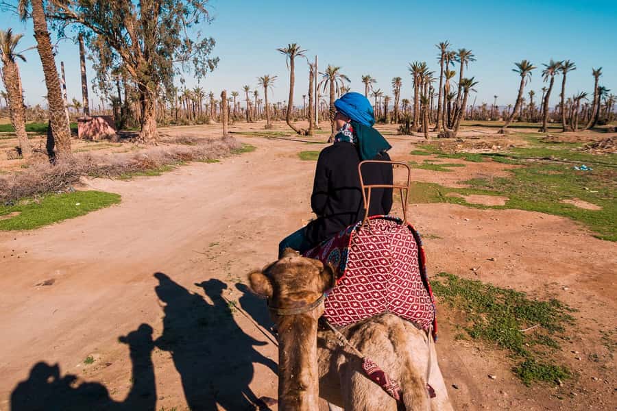 Marrakech: 2-Hour Quad Bike & Camel Ride in Palmeraie - Starting with the camels in the palm grove