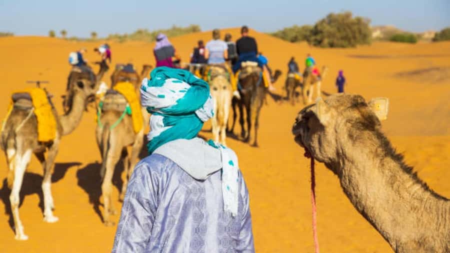 Marrakech: 3-Day Luxurious Desert Tour to Fes via Merzouga. - What the $102 price really covers