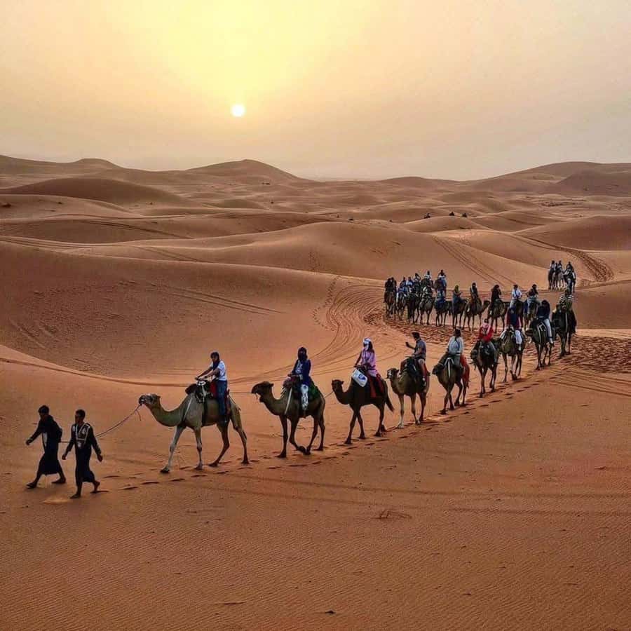 Marrakech: 3-Day Luxurious Desert Tour to Fes via Merzouga. - Day 1: High Atlas views, Ait Benhaddou, and the Dades Valley