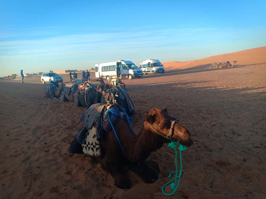 Marrakech: 3-Day Merzouga Sahara Desert Tour with Quad Ride - Camel time at Erg Chebbi