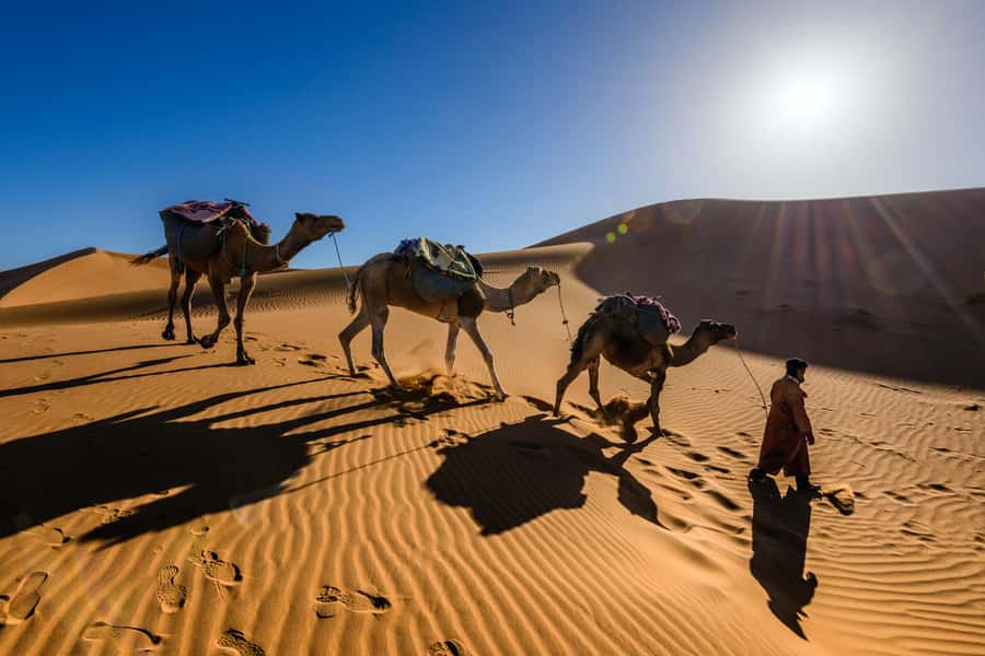 Marrakech: 3-Day Trip to Fez with Sandboarding & Camel Ride - What to pack for three busy days