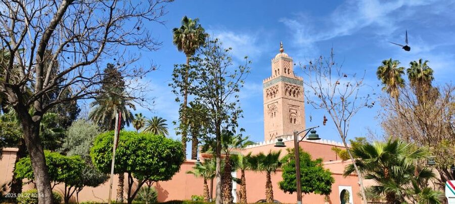 Marrakech 3-Hour Walking Tour - Key points at a glance