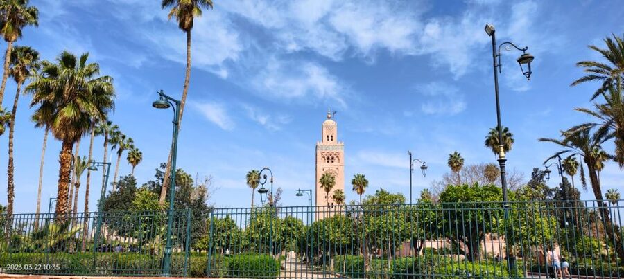 Marrakech 3-Hour Walking Tour - Finishing at Jemaa el Fna