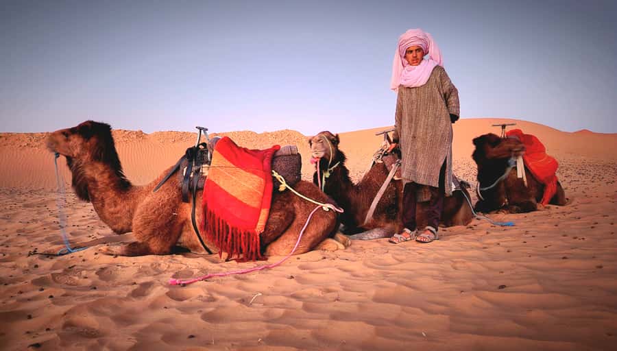 Marrakech: 3Day Luxurious Merzouga Tour w/ Camel&Quad Option - Food, drinks, and the real trip budget
